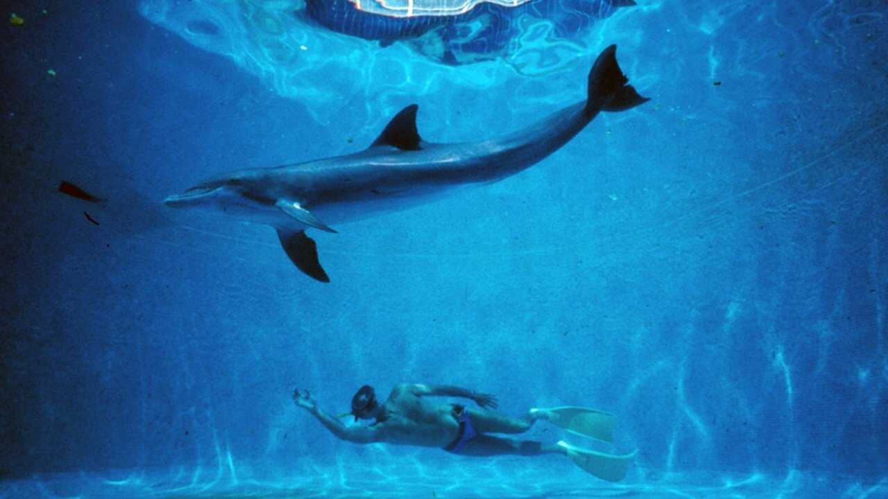 The Big Blue 0