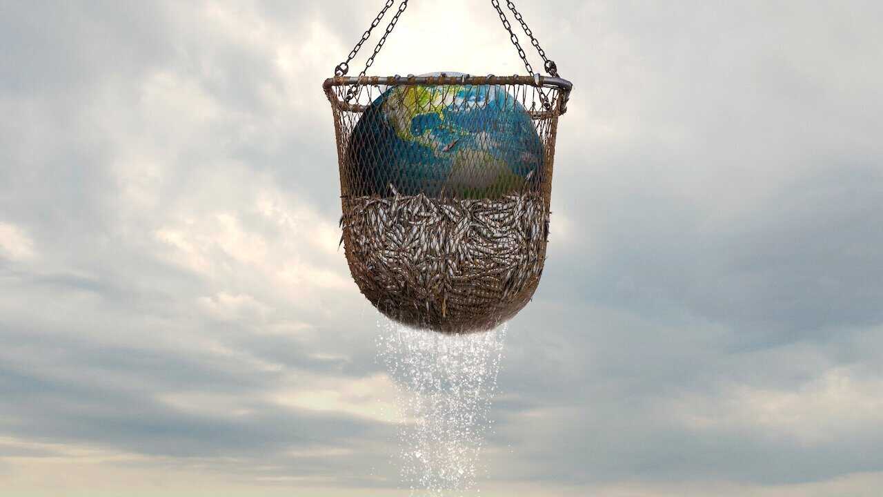 Seaspiracy 0