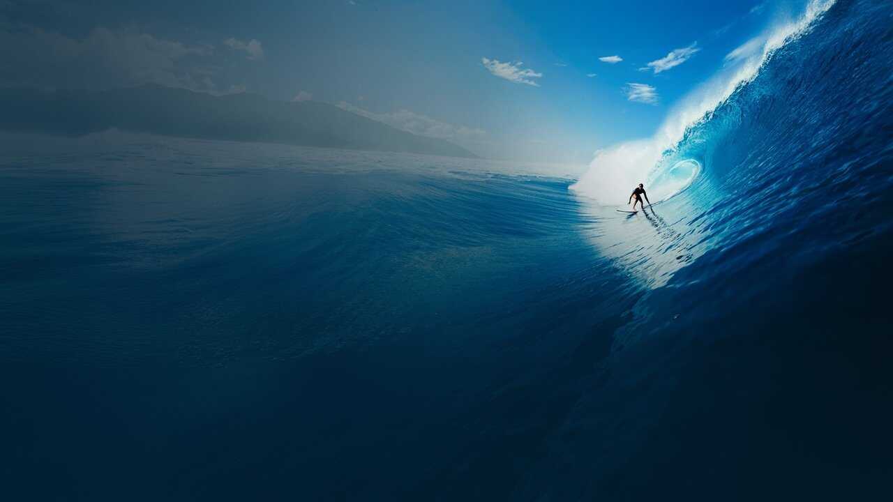 Surf, le feu sacré (2024) 0