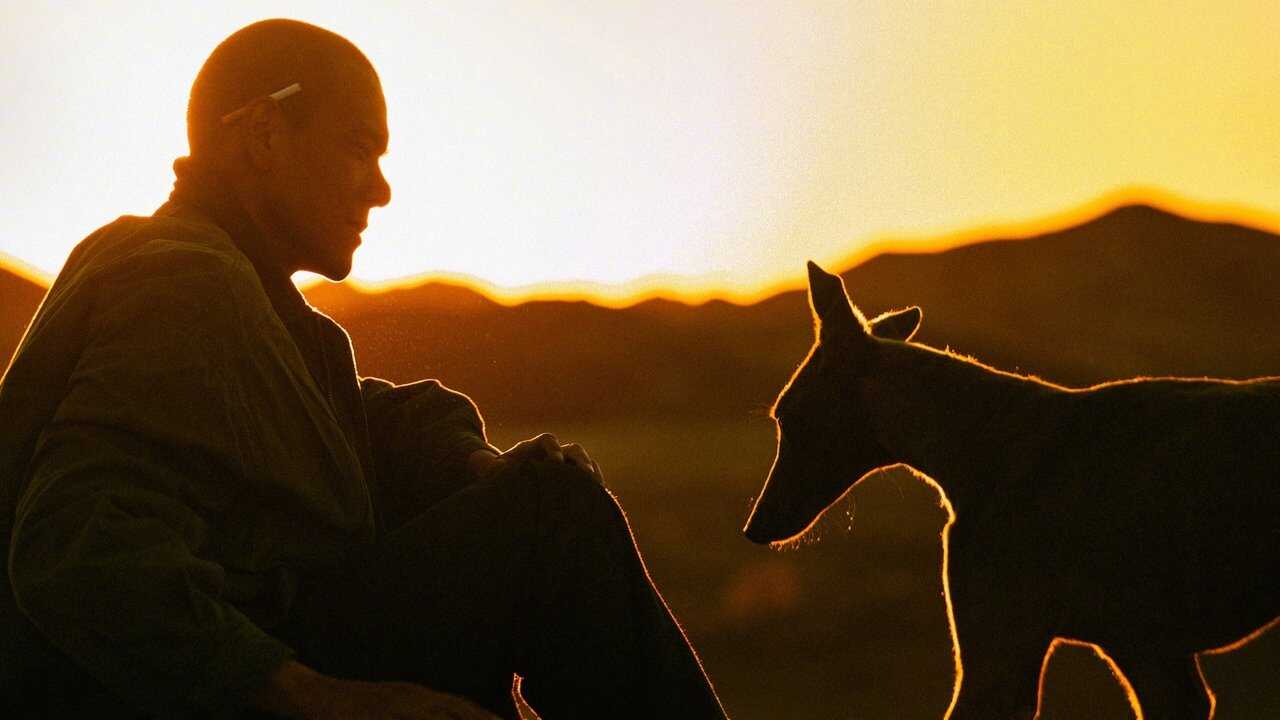 Black Dog - Weggefährten (2024) 0