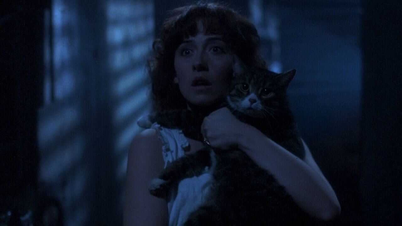 The Amityville Curse (1990) 0