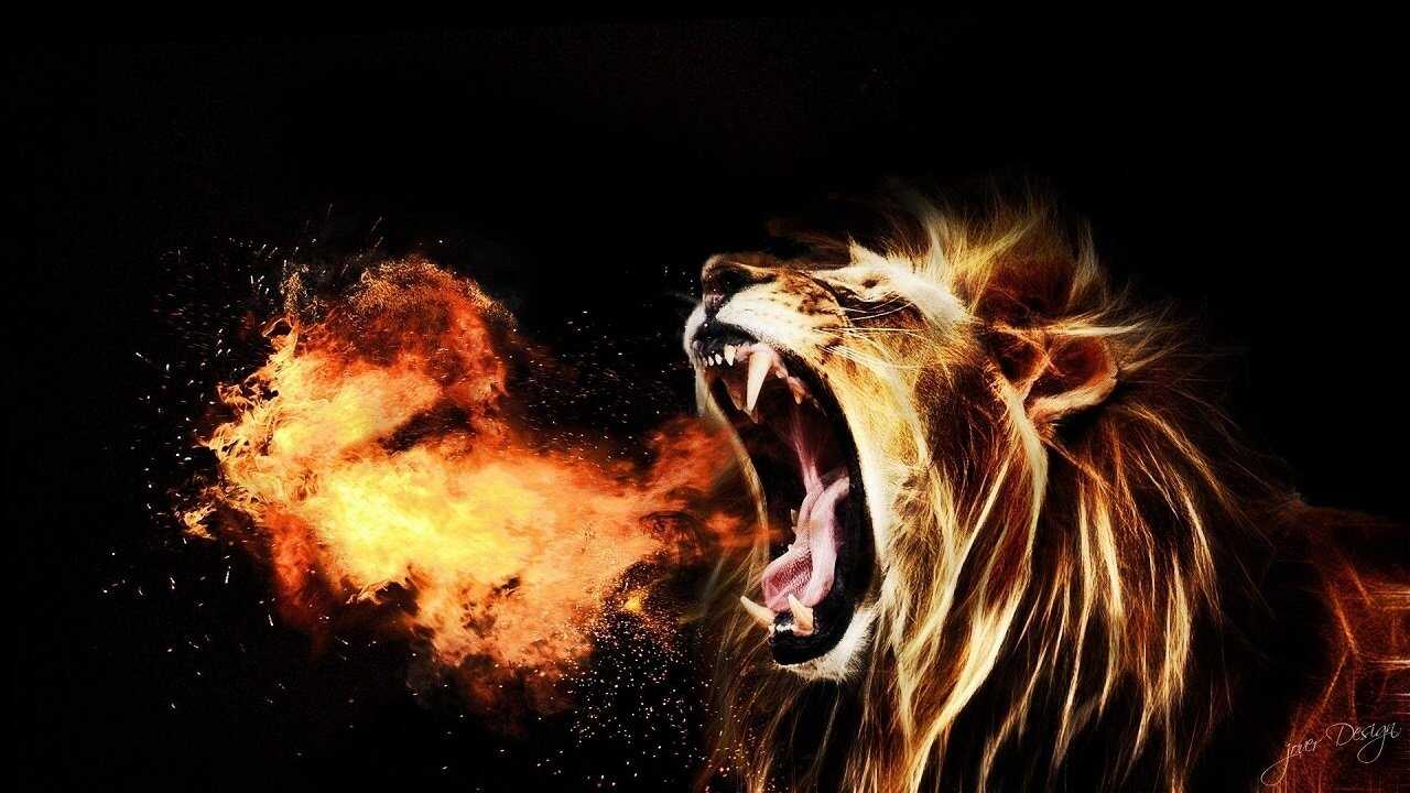 Let the Lion Roar 0