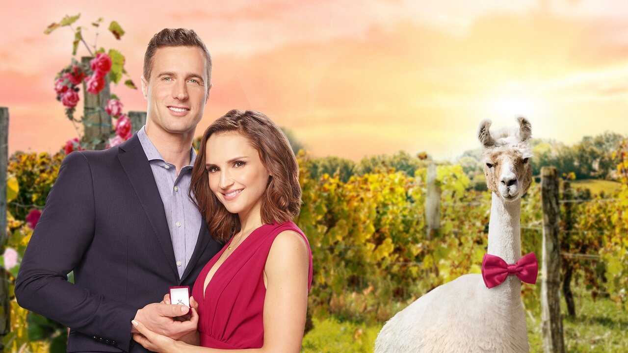 Valentine in the Vineyard 0