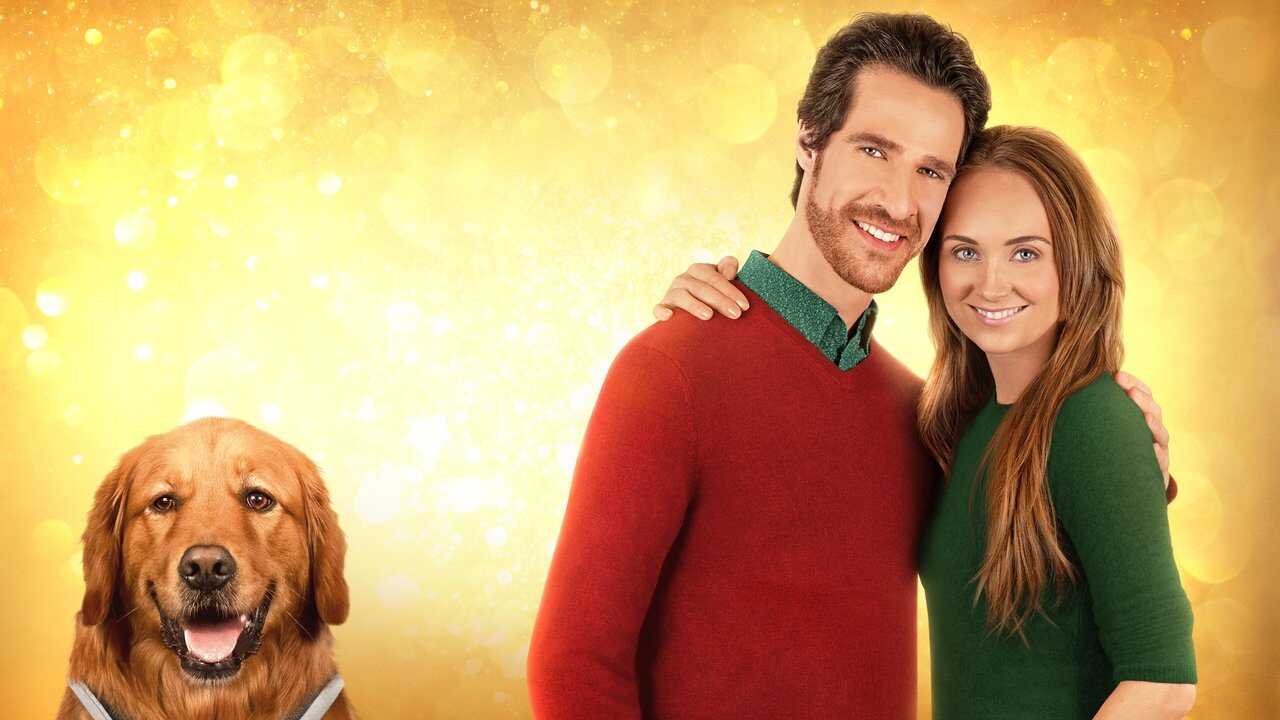 Max - Meine Weihnachtshilfe auf vier Pfoten (2023) 0