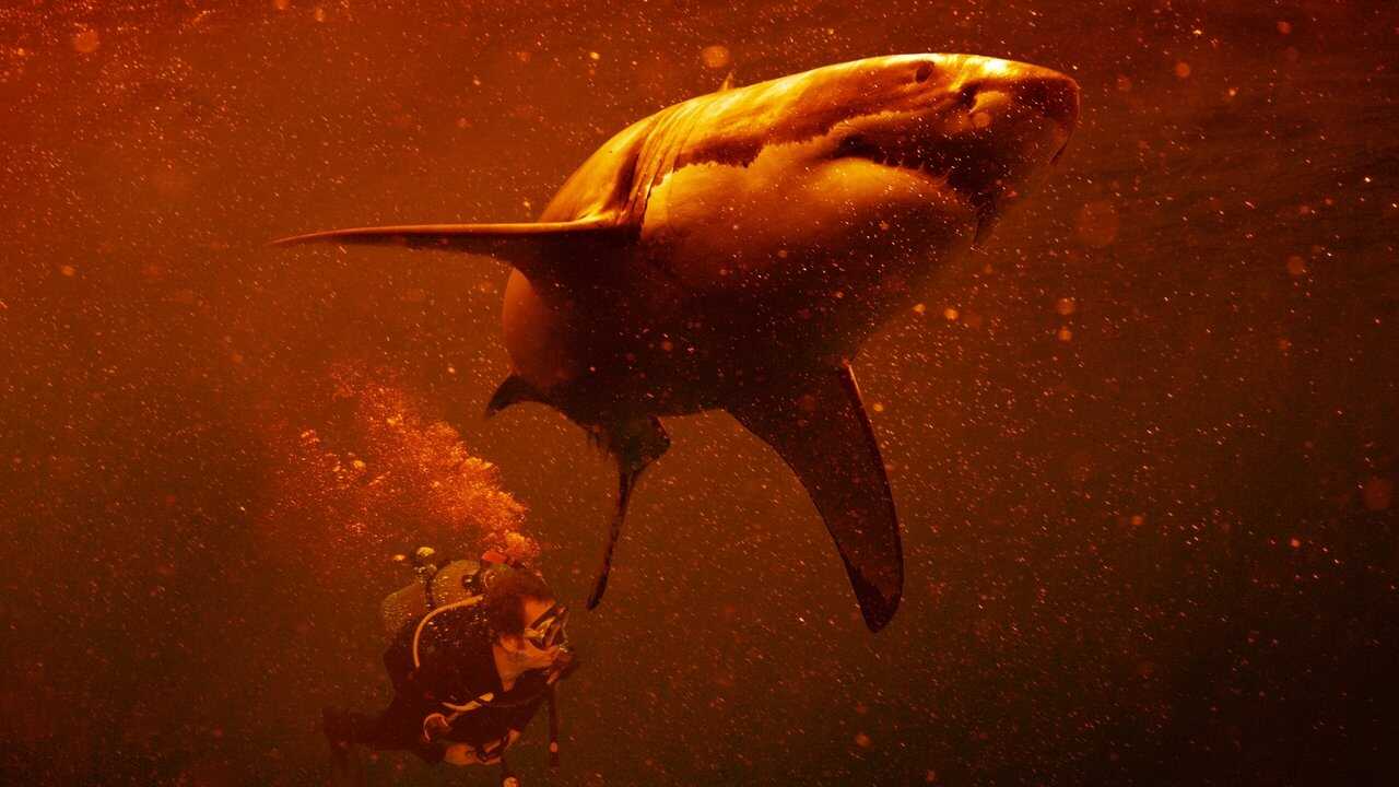 Sharkcano: Hawaii 0