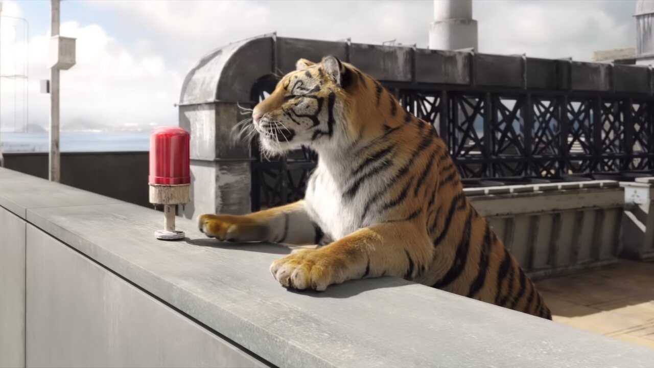 Tiger Robbers (2021) 0