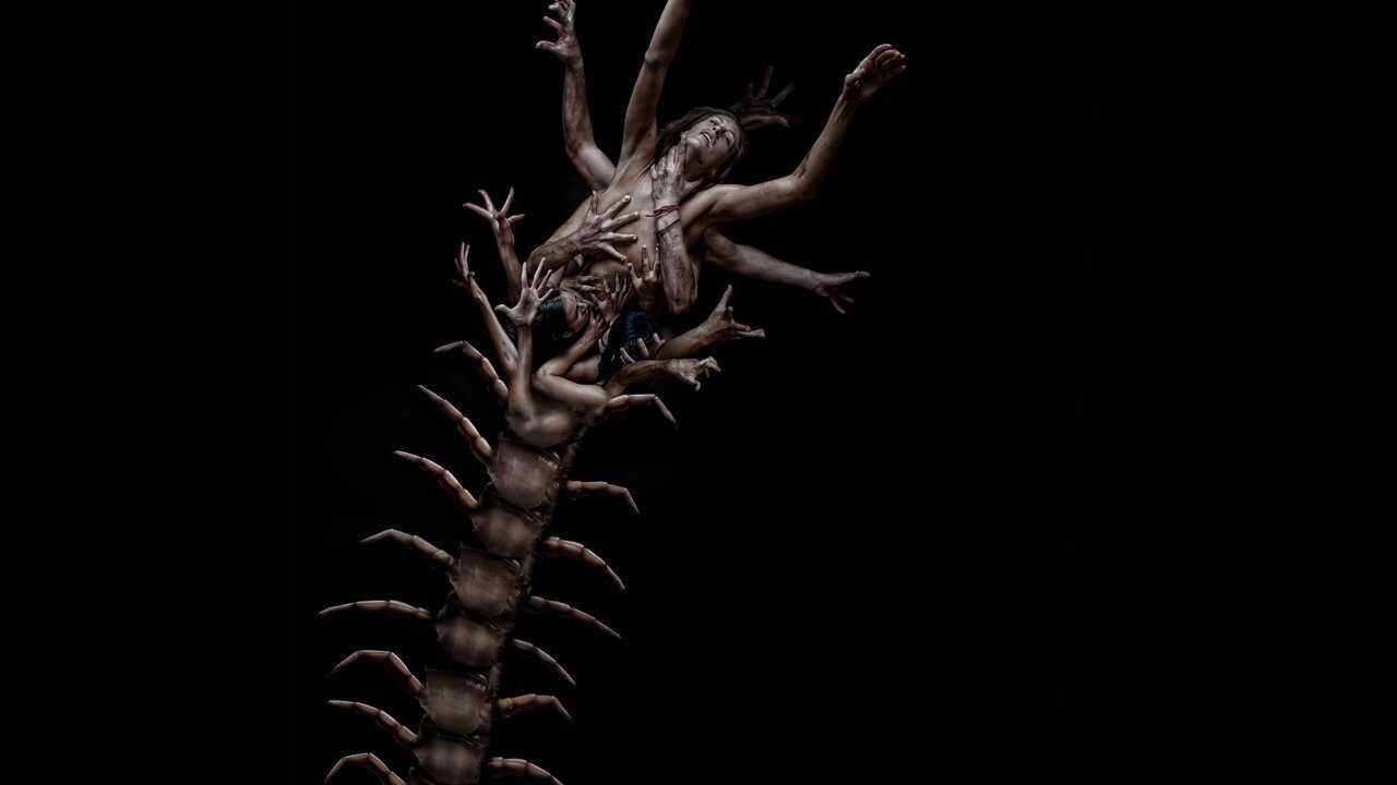 The Human Centipede 2 (Full Sequence) (2011) 0