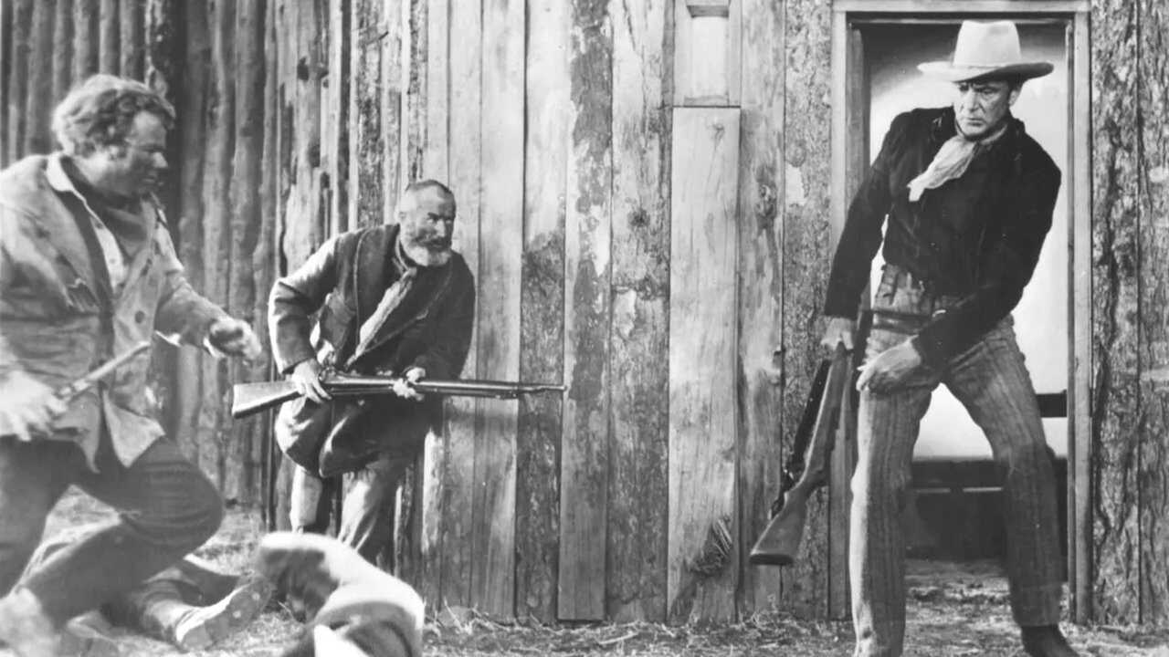 Springfield Rifle (1952) 0