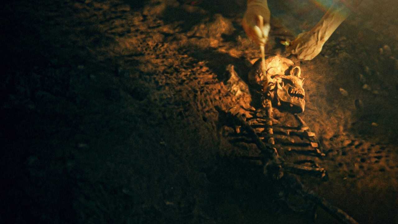 Secrets of the Neanderthals 0
