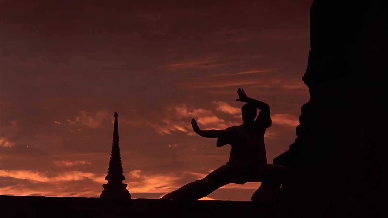 Kickboxer 0