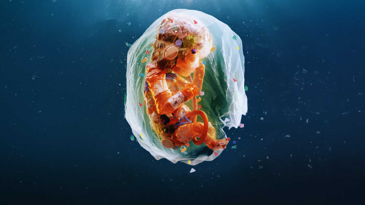 Plastic People (2024) 0