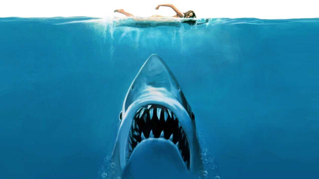 Jaws 0