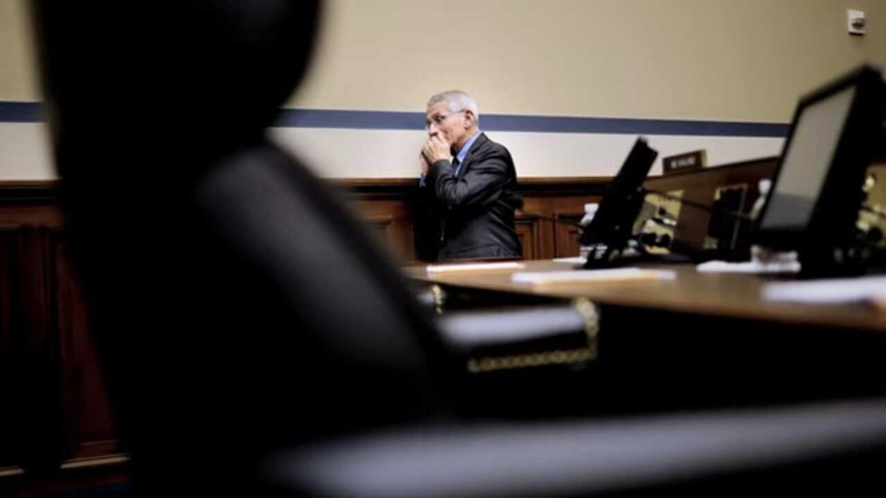 Thank You Dr. Fauci (2024) 0