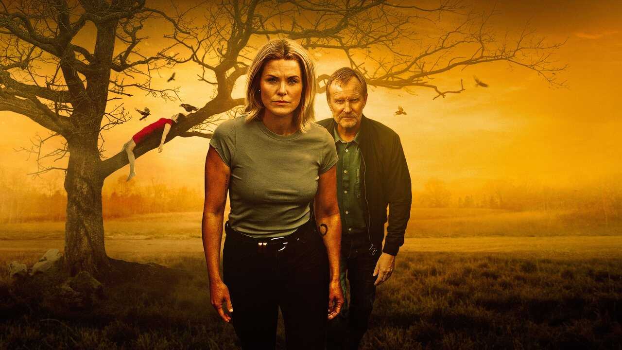 Les Enquêtes du département V : Promesse (2024) 0