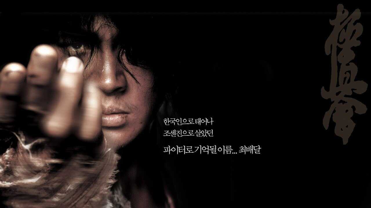 Fighter in the Wind (2004) 0