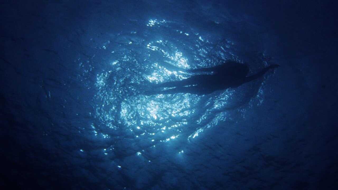 50 años de Tiburón (2024) 0