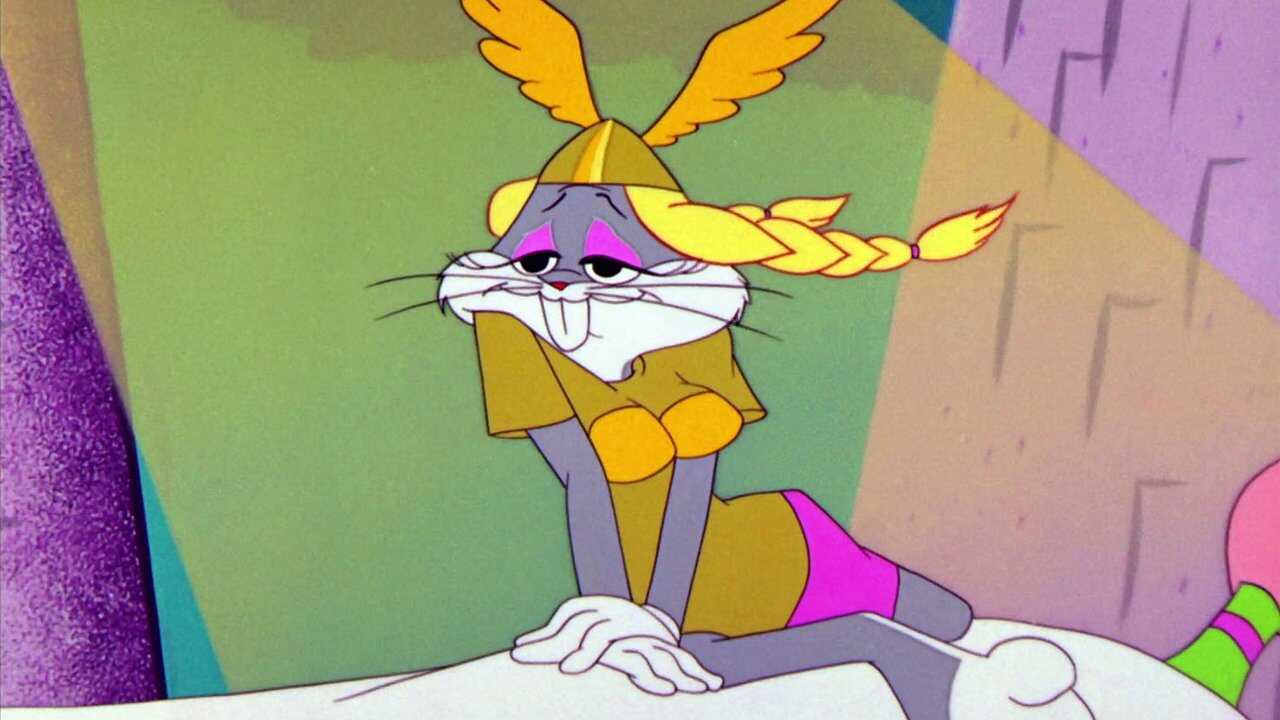 The Bugs Bunny/Road Runner Movie 0