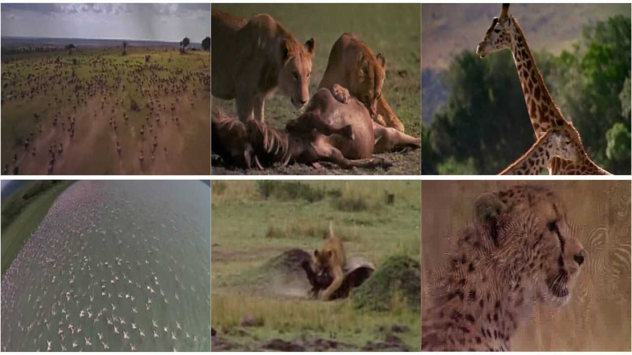 Africa: The Serengeti 0