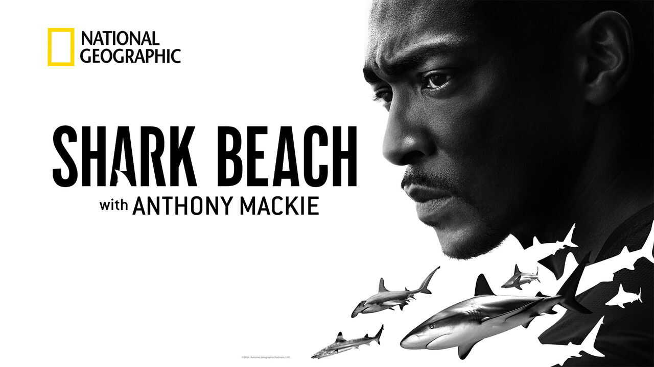 Shark Beach with Anthony Mackie (2024) 0