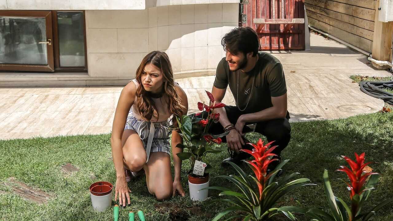 Is This Love? (2018) 0