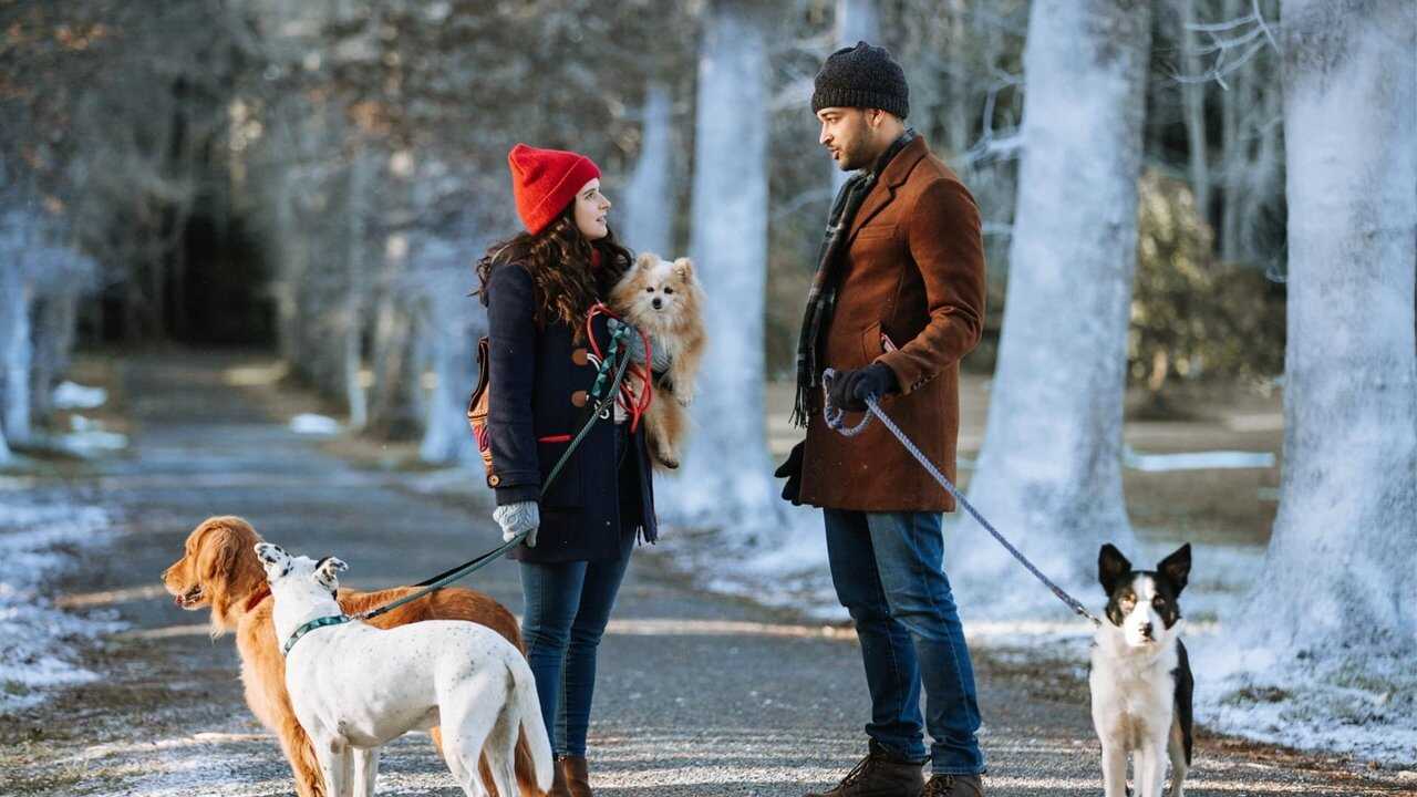The Dog Days of Christmas 0