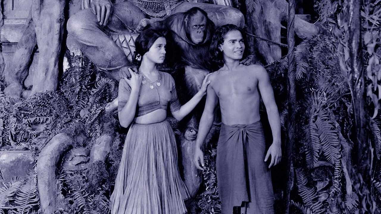 Jungle Book 0