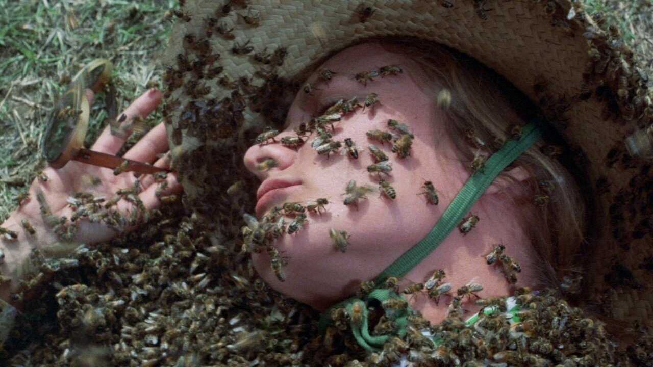El enjambre (1978) 0