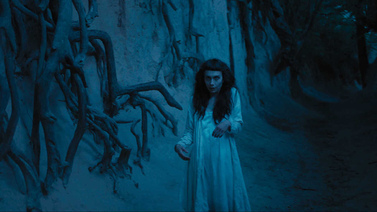 The Field Guide to Evil 0