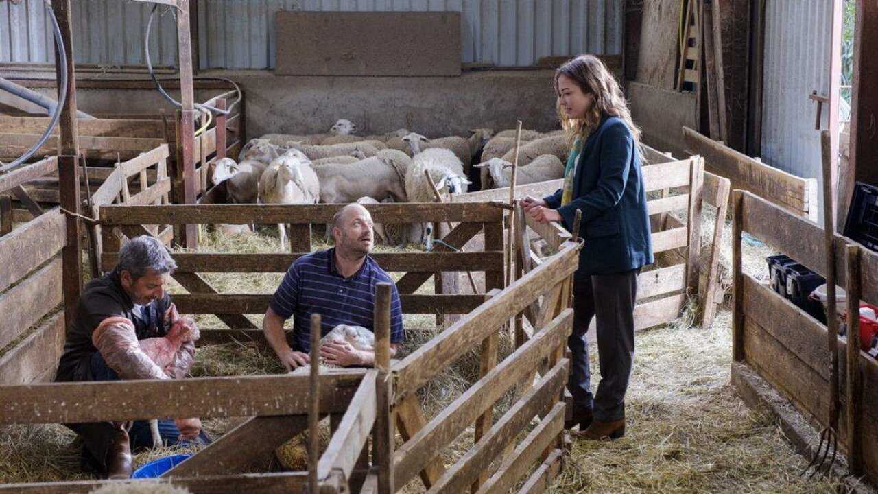 La doc et le véto 0