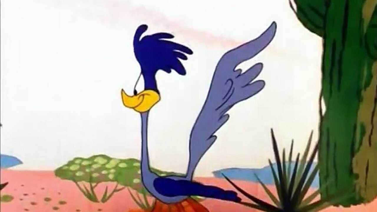 Stop! Look! and Hasten! 0