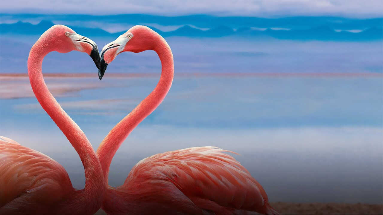 Queer Planet (2023) 0