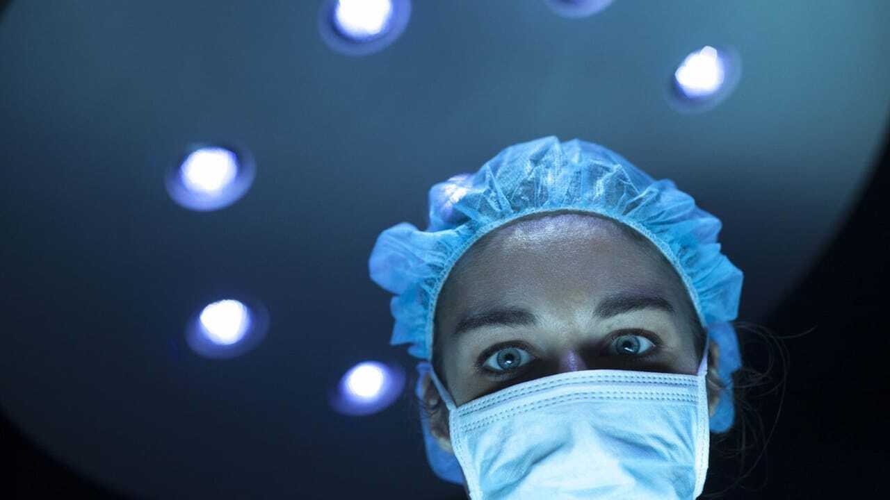 The Holly Kane Experiment 0