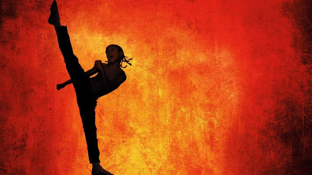 The Karate Kid (2010) 0