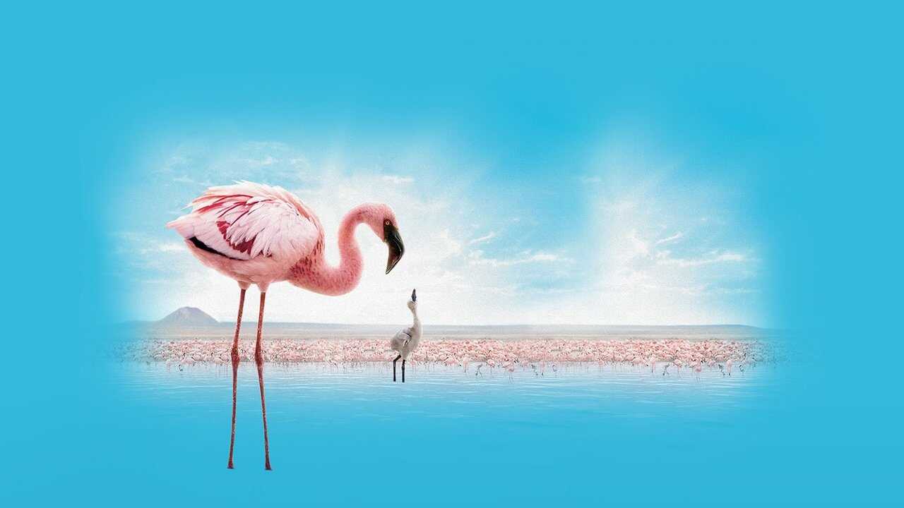 The Crimson Wing: Mystery of the Flamingos 0