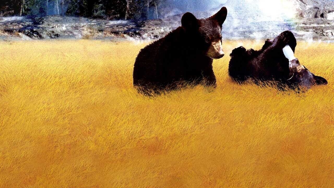 Yellowstone Cubs 0