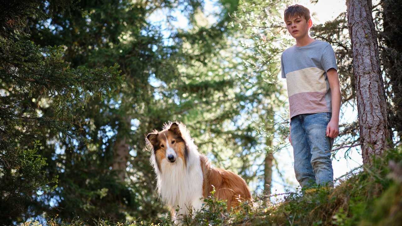 Lassie (Una nueva aventura) (2023) 0