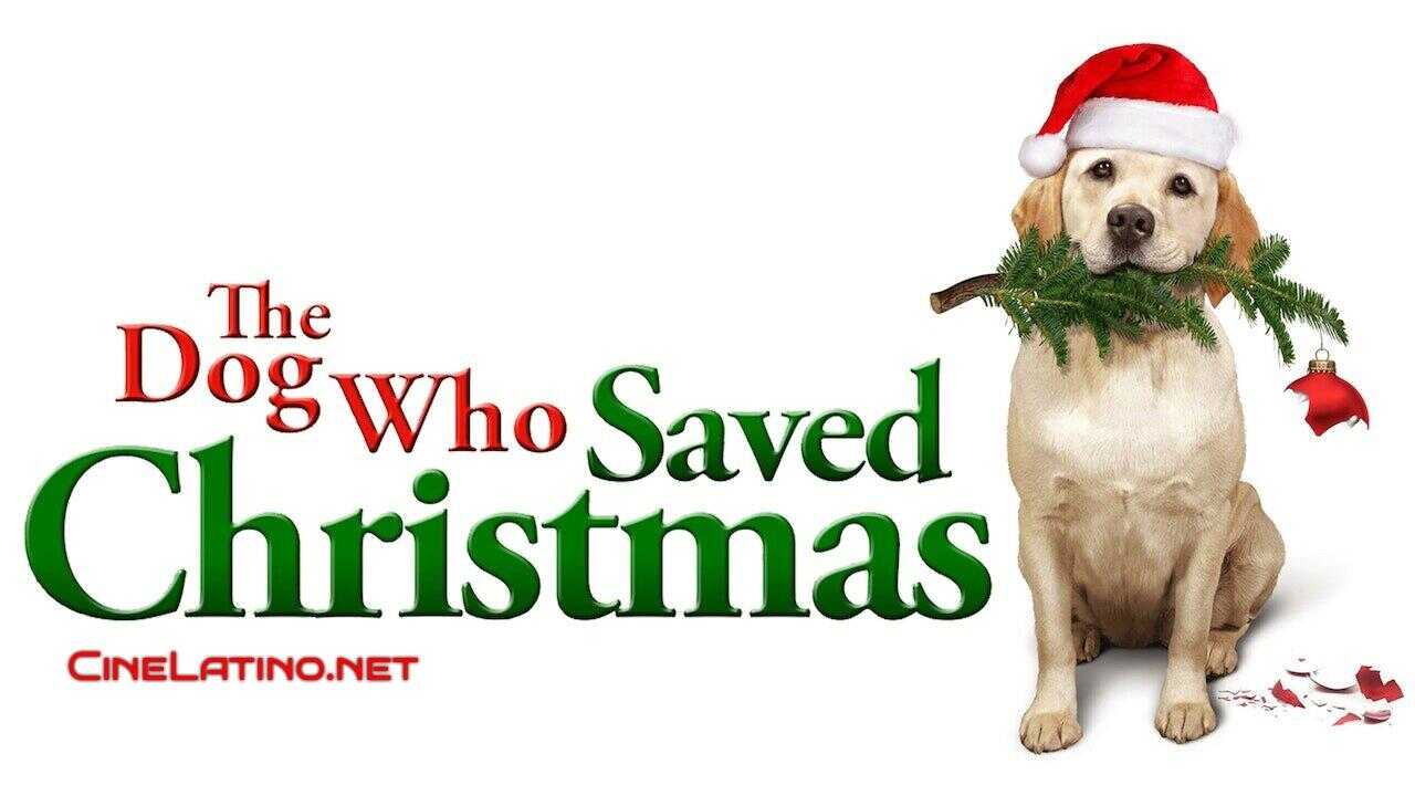 Ein Hund rettet den Weihnachtsurlaub (2012) 0