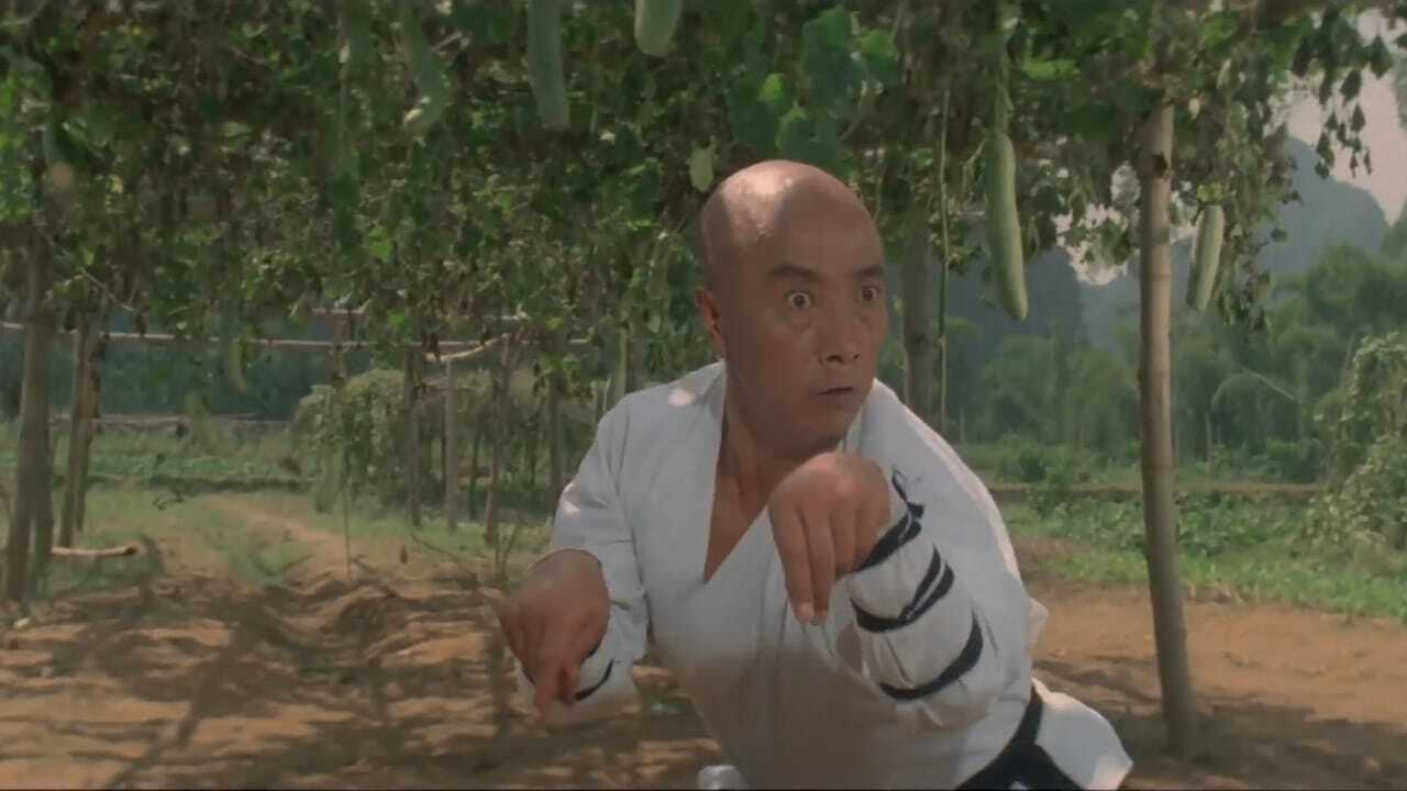 Martial Arts of Shaolin 0
