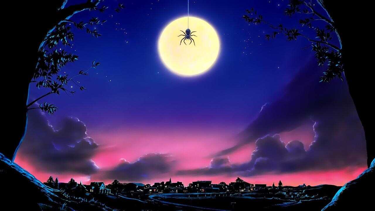 Arachnophobia 0