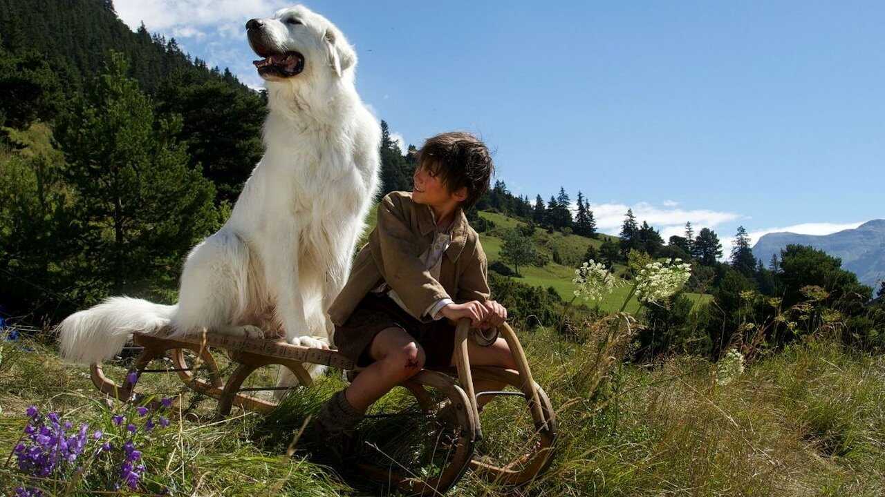 Bella i Sebastian 2 (2015) 0