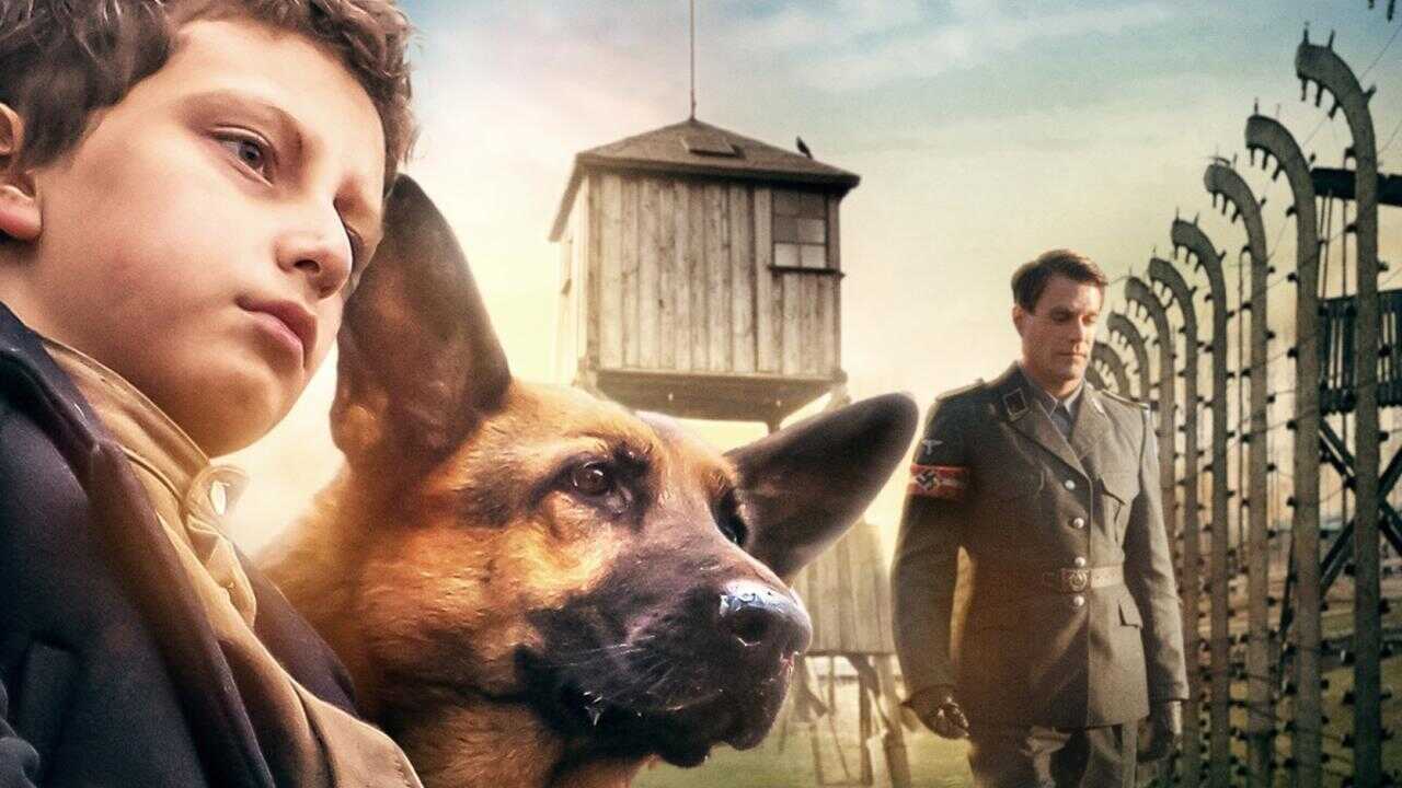 Camino hacia la libertad (2020) 0