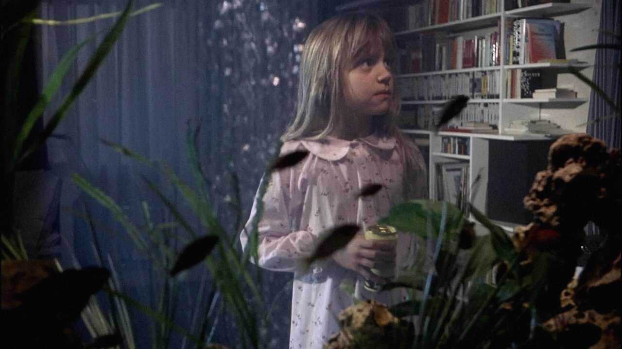 Der siebente Kontinent (1989) 0