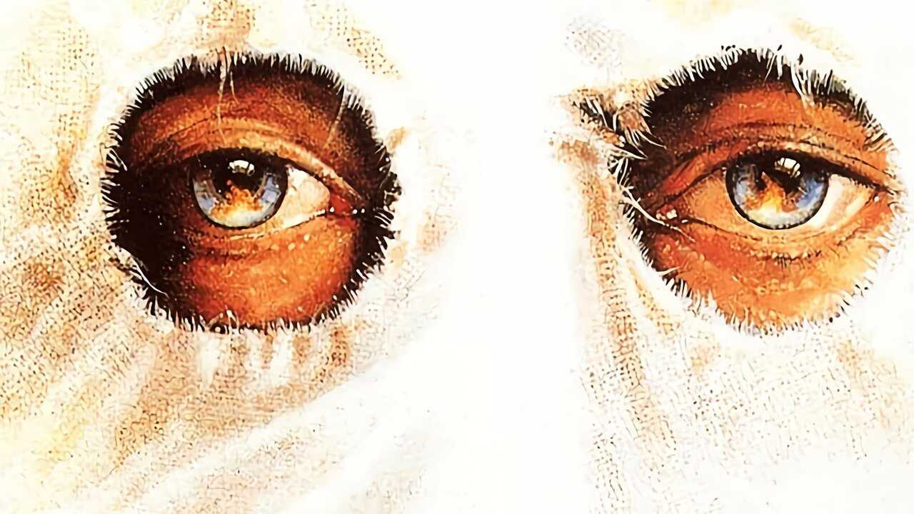 Mississippi Burning (1988) 0