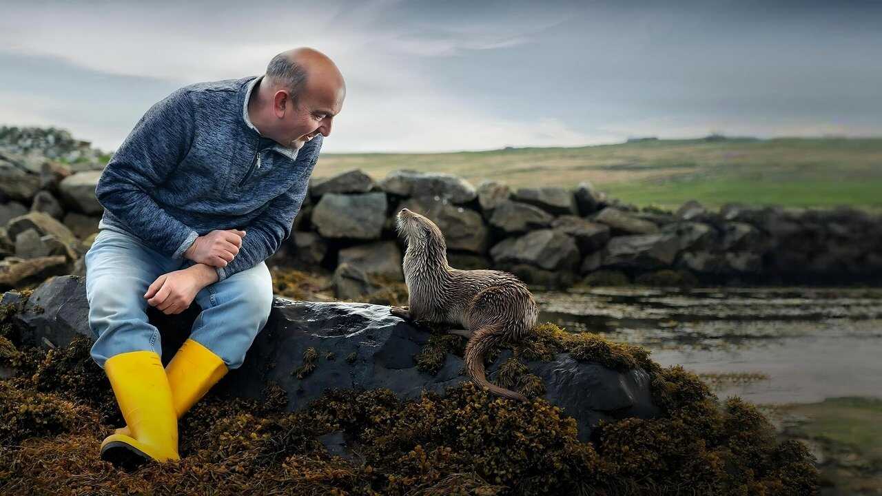Billy & Molly: An Otter Love Story 0