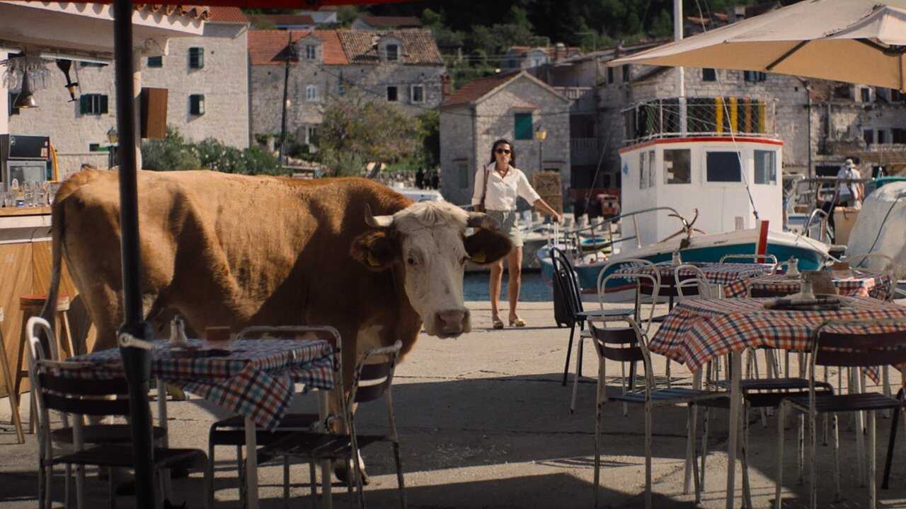 My Late Summer (2024) 0