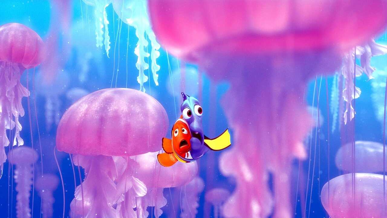 Finding Nemo 0