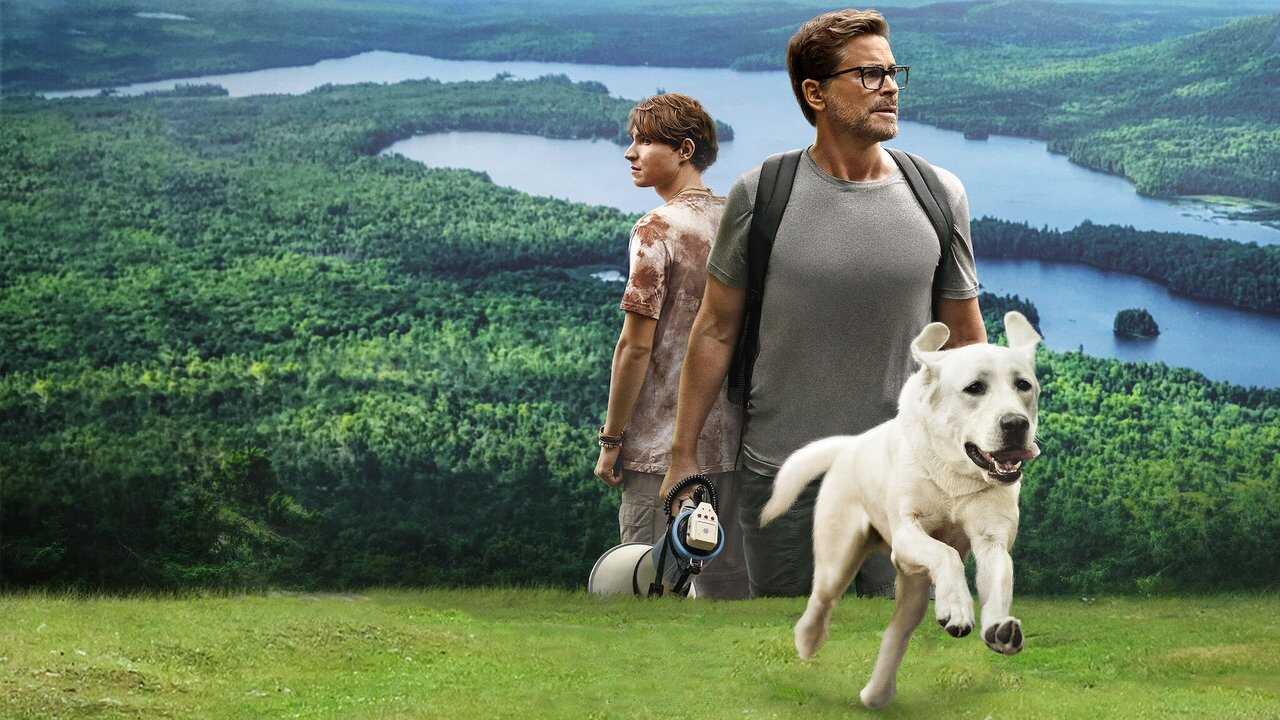 Dog Gone 0