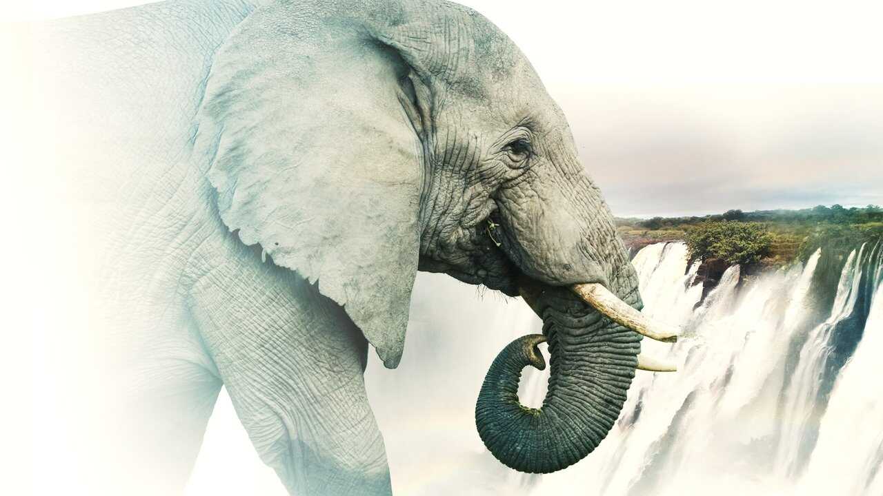 Victoria Falls: Africa's Garden of Eden 0