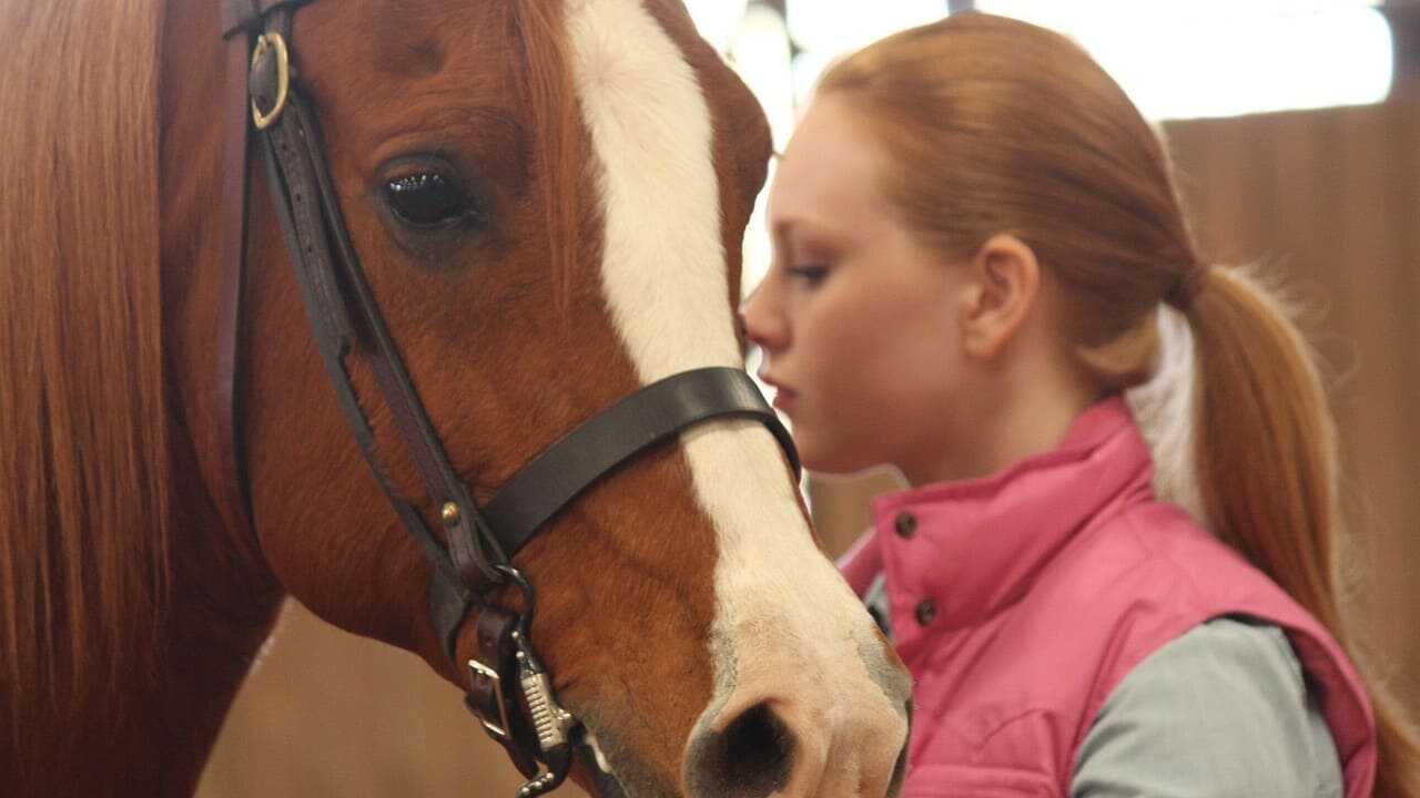 Glory - Eine ungezähmte Freundschaft (2021) 0