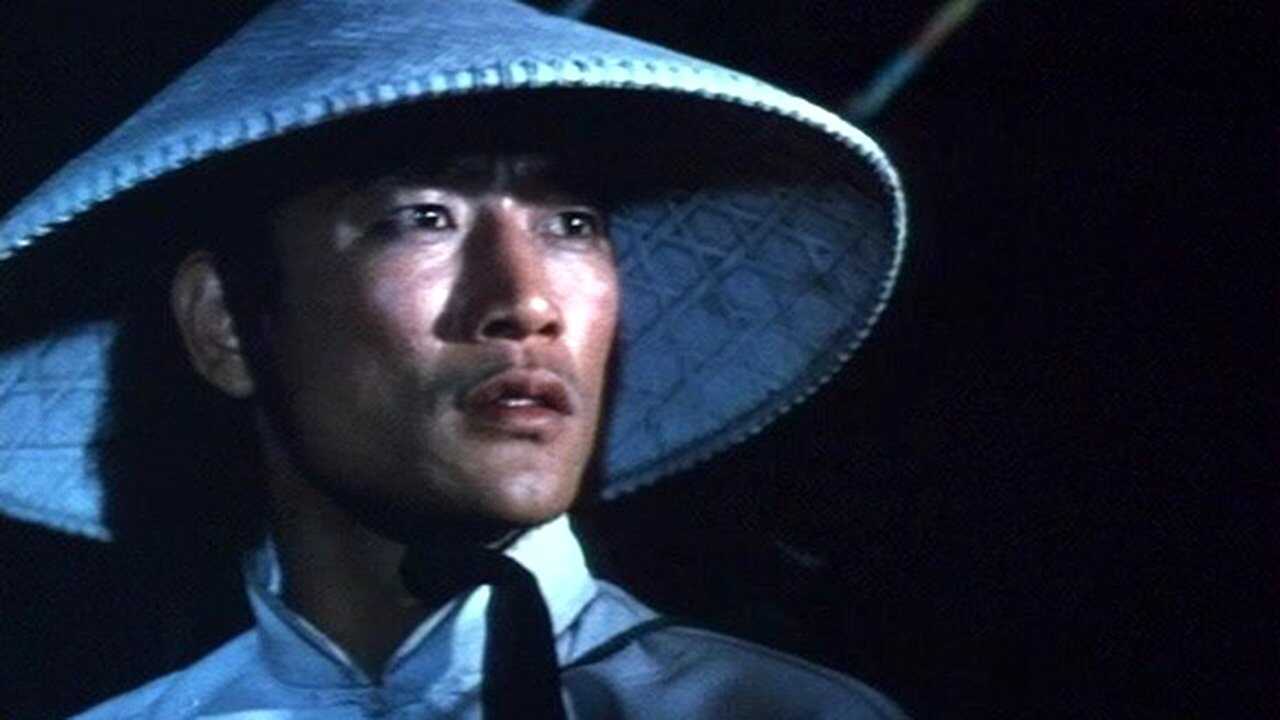 Drunken Fist (1981) 0
